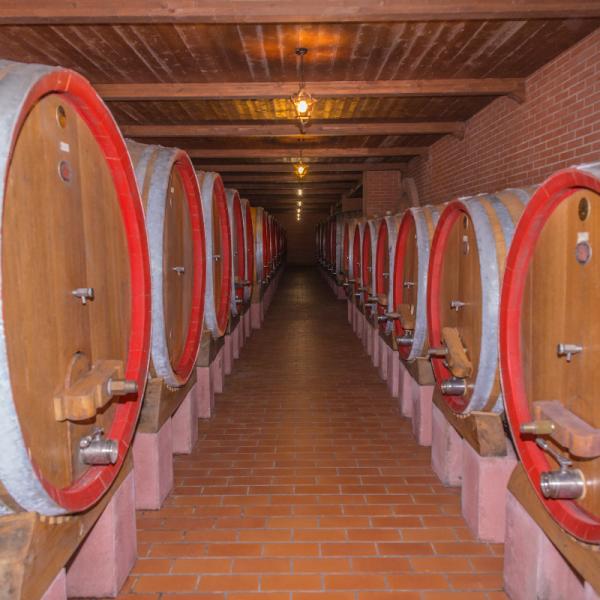 Cantina-di-biase-in-botte-15