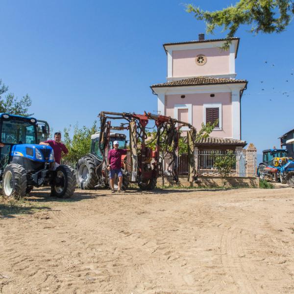 Cantina-di-biase-in-vigna-03
