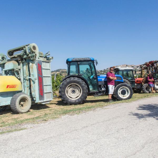 Cantina-di-biase-in-vigna-12