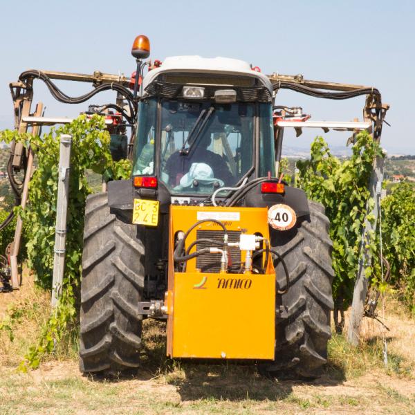 Cantina-di-biase-in-vigna-17
