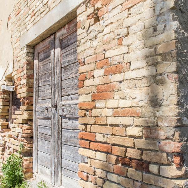 Cantina-di-biase-in-vigna-38