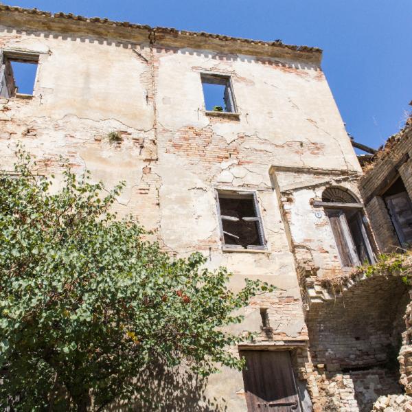 Cantina-di-biase-in-vigna-39