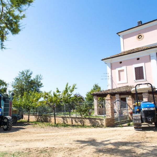 Cantina-di-biase-in-vigna-40