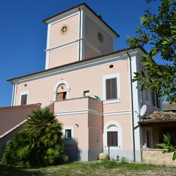 Cantina-di-biase-in-vigna-53
