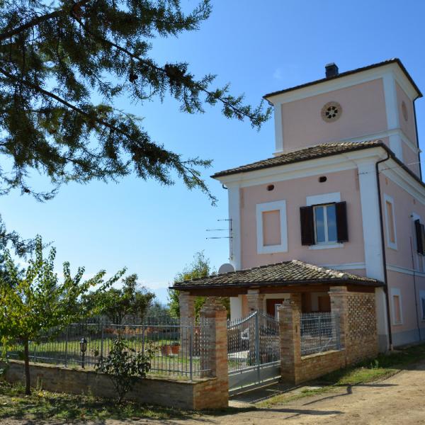 Cantina-di-biase-in-vigna-54