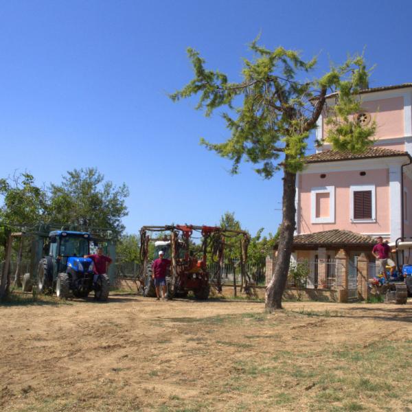 Cantina-di-biase-in-vigna-74