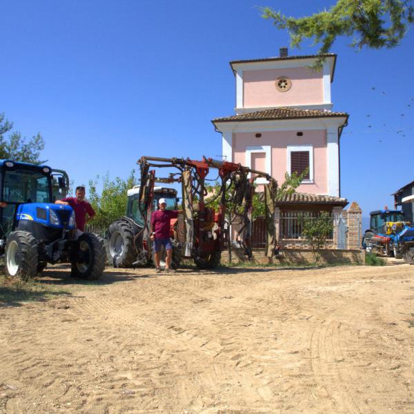 Cantina-di-biase-in-vigna-75