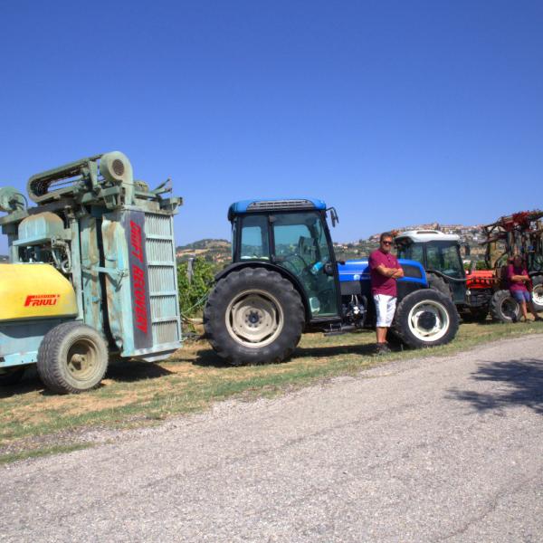Cantina-di-biase-in-vigna-76